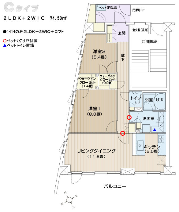 Cタイプ